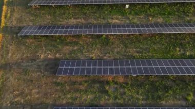 Ekoloji güneş enerjisi enerji panelleri güneş batımında yeşil enerji elektriksel yenilik doğa ortamı