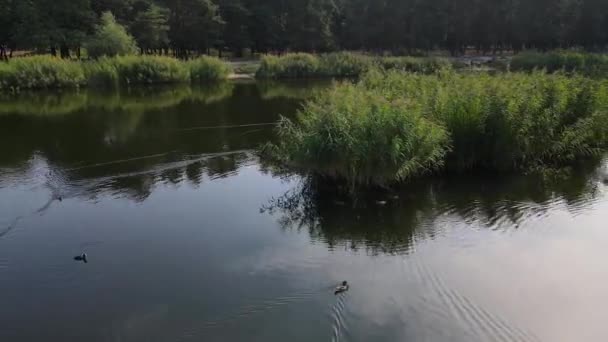 Górny Widok Lotu Lotniczego Nad Małym Jeziorem Czysta Turkusowa Woda — Wideo stockowe