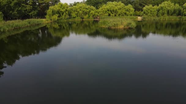 小さな湖の上の空中飛行 木々や植物に囲まれた池の澄んだターコイズブルーの水をご覧ください 夏の日の手つかずの自然 — ストック動画