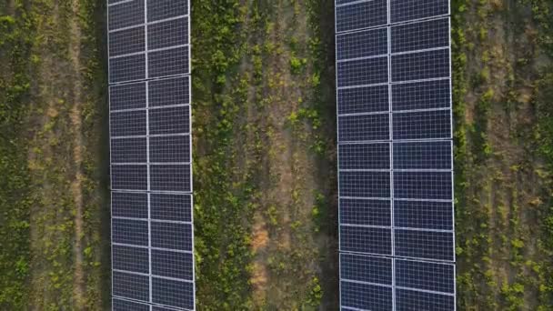 Ecologie Zonnepanelen Velden Groene Energie Bij Zonsondergang Landschap Elektrische Innovatie — Stockvideo