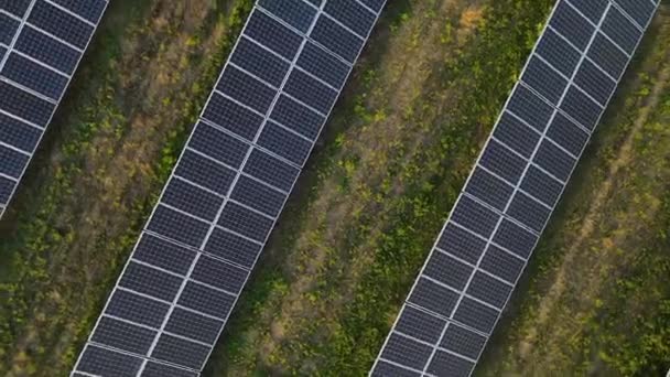 Ecologie Zonnepanelen Velden Groene Energie Bij Zonsondergang Landschap Elektrische Innovatie — Stockvideo