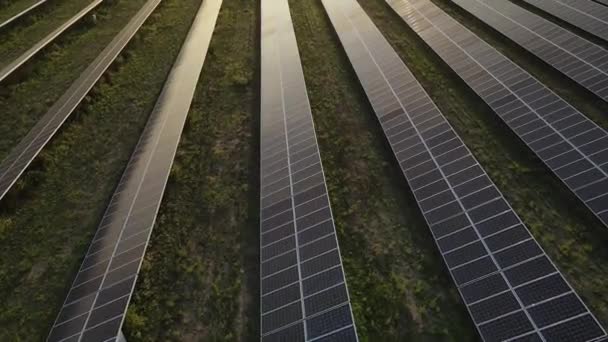 Ecologie Zonnepanelen Velden Groene Energie Bij Zonsondergang Landschap Elektrische Innovatie — Stockvideo