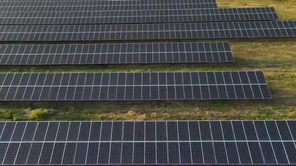 Οικολογία Πάνελ Σταθμών Ηλιακής Ενέργειας Στους Τομείς Της Πράσινης Ενέργειας — Αρχείο Βίντεο