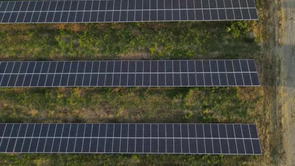 Οικολογία Πάνελ Σταθμών Ηλιακής Ενέργειας Στους Τομείς Της Πράσινης Ενέργειας — Αρχείο Βίντεο