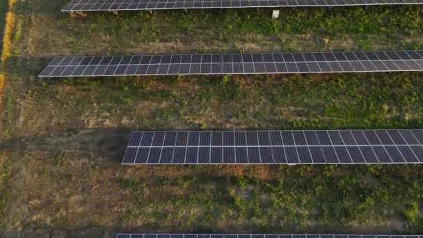 Ecologie Zonnepanelen Velden Groene Energie Bij Zonsondergang Landschap Elektrische Innovatie — Stockvideo