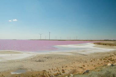 Ukrayna 'daki renkli Pembe Tuz Gölü manzarası, mavi gökyüzü, ufuk çizgisi, kopyalama alanı.