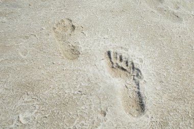 Kumsaldaki kumda ayak izleri, boşluğu kopyala.