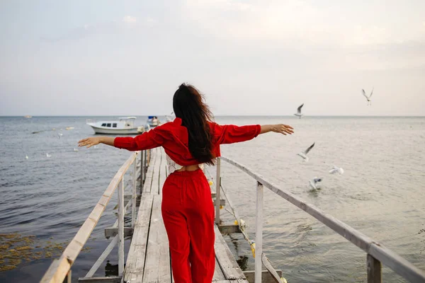 Kırmızılı Asyalı Kız Tahta Köprüde Kollarını Açmış Gökyüzüne Karşı Martılar — Stok fotoğraf