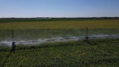 Geniş yeşil tarlaların yapay olarak güneş ışığında sulandığı, fıskiyelerin üzerinden geriye doğru uçtuğu ve sudaki gökkuşağı renk efektlerini yakaladığı tarım görüntüleri.