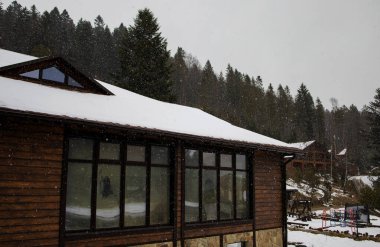 Kışın ormandaki ağaçlar karla kaplanır.