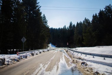 Kış ormanlarında yol karla kaplıydı.