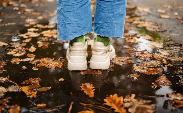 在公园里 穿着蓝色牛仔裤和白色运动鞋的人 穿着紧身衣 站在水坑里 秋天下着雨 黄叶丛生 — 图库照片