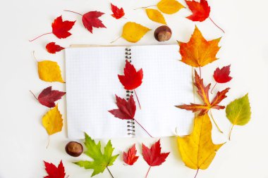 a notebook with empty pages lies on a white background surrounded by autumn maple leaves. top view. autumn mood. a place to copy.