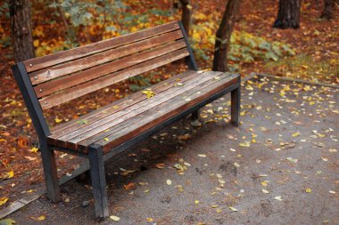 Sonbahar renklerinde parktaki boş bir ahşap bank.