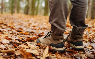 Yürüyüş botlarıyla erkek bacaklarının yakın çekimi sonbahar mevsiminde parkta ya da ormanda sarı-turuncu kuru yapraklarla yerde yürür. Doğada yürüyen ayaklar. Boş zamanlardaki sağlıklı yaşam tarzı