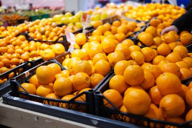 Süpermarkette bir sürü portakal var. Bir süpermarket vitrininde parlak turuncu turunçgil meyveleriyle dolu sandıklar, muhtemelen canlı bir üretim bölümünde mandalina veya mandalina bulunur..