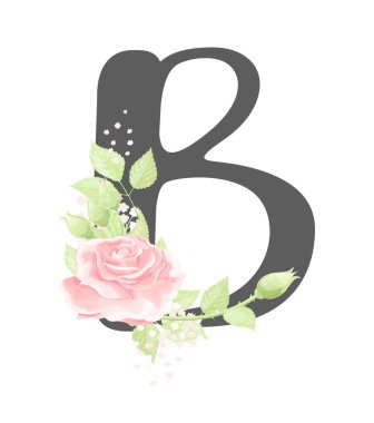 Vektör çiçek alfabesi. B harfi, pembe krem rengi gül çiçekleri ve yeşil yapraklarla.
