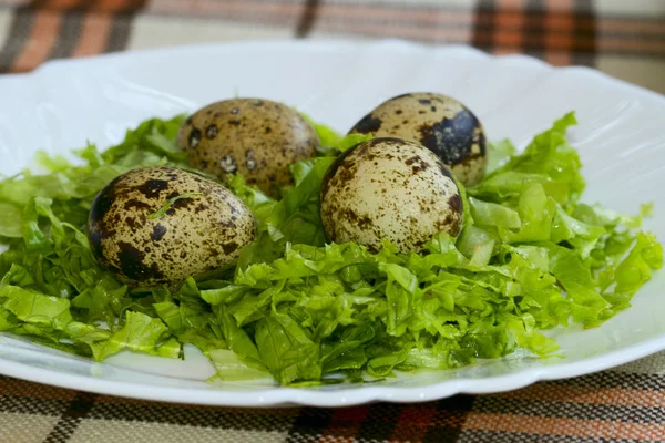 Four quail eggs decorated with greens on the plate. — Stock Photo, Image