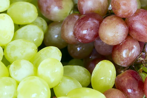 Klasar av stora gröna och röda druvor tillsammans. — Stockfoto