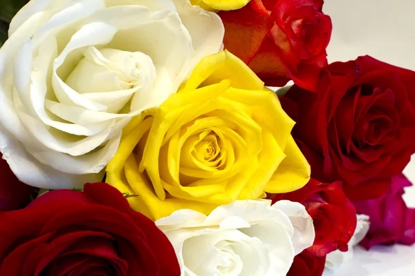 Красивий букет з різнокольорових троянд — стокове фото