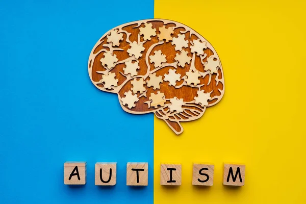 Mock up of a human brain with scattered puzzle pieces on a yellow and blue background. Six cubes with the inscription autism.