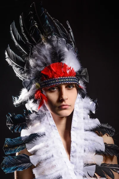 Beautiful young native American Indian woman — Stock Photo, Image