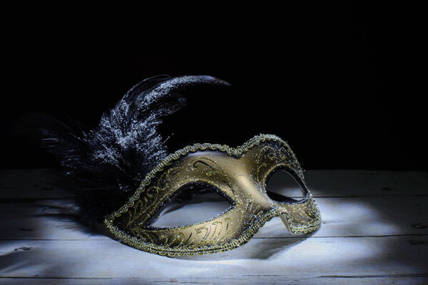 Венецианская маска с пером
 