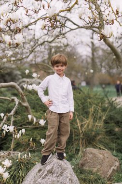 Beyaz gömlekli ve kadife pantolonlu küçük sarışın çocuk. Ayakta. Açık havada. Park et. Çiçekli manolyalar.