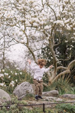Beyaz gömlekli ve kadife pantolonlu küçük sarışın çocuk. Zıpla. Açık havada hem de. Park et. Manolya çiçekleri.