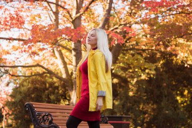 Çekici genç sarışın parkta yürüyor. Ayakta. Eğleniyorum. Sonbahar parkının arka planı.