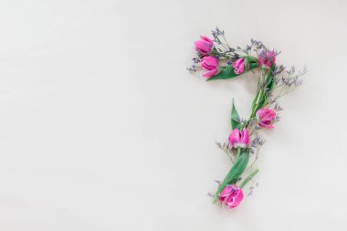 Çiçeklerin bileşimi. 7 numaralı çiçek. Lale ve lavanta karışımı. Beyaz bir arkaplanda izole edilmiş.