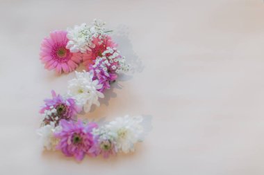 Gerbera gypthe ve chrysanthemums kavramı. Çiçek numarası 2. Hafif bir arkaplanda.