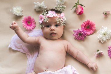 Çiçek çelenginde yeni doğmuş bir bebek. Çiçeklerle yatakta yatmak. Çırılçıplak. Hafif bir arkaplanda.