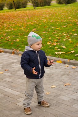 küçük renkli sonbahar parka çekip oğlu