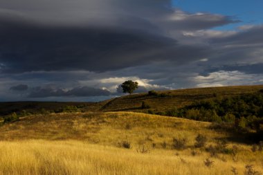 Dramatik fırtınalı gökyüzü altında sarı çim alan.