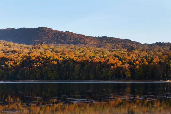 Specchio di riflessione autunnale nel lago Pasanauri, Georgia — Foto Stock