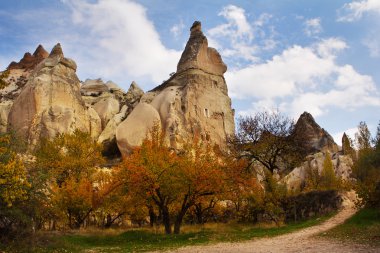 sihirli Sanat Noel ve yılbaşı tebrik kartı
