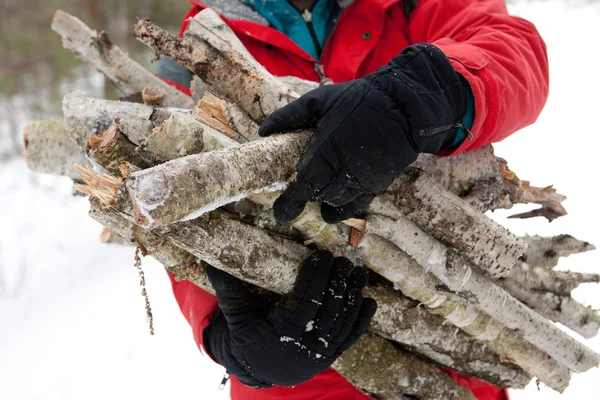 用木柴在冬季森林大胡子 免版税图库图片