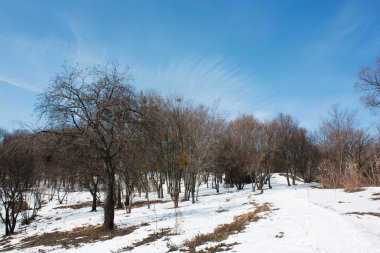 Kar altında kış parkı
