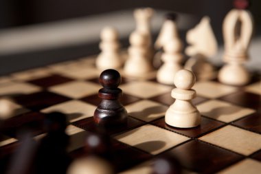 satranç taşları parkta bir tablo