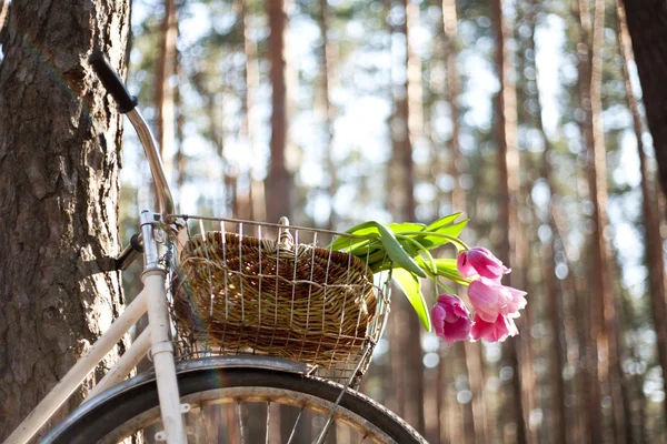Gammal cykel med blommor i korg, skogen — Stockfoto