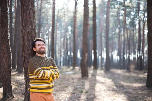 Man nära trädet i en solig skog — Stockfoto