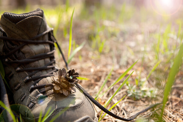 pair of traveler hiker shoes standing in the grass
