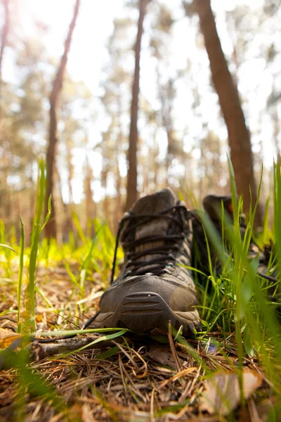 Paar reiziger wandelaar schoenen permanent in het gras — Stockfoto