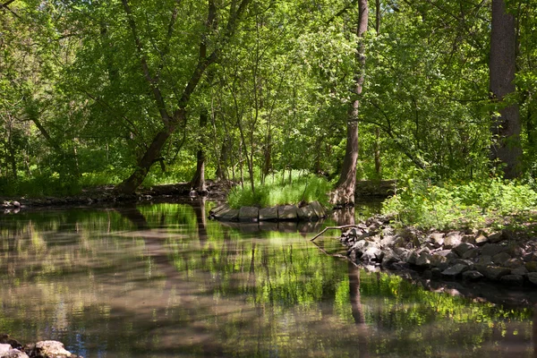 Bellissimo lago con alberi e rocce riflesso — Foto Stock