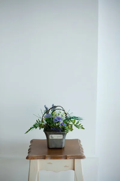 Flower pot with white wall Stock Photo