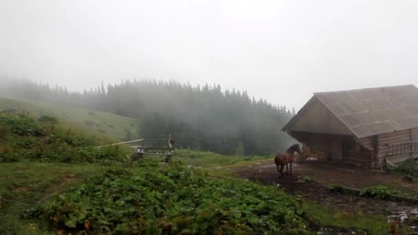 马站附近一座木房子在一个旧农场在雾中 — 图库视频影像