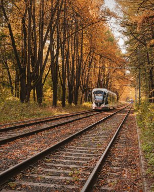 Ilık bir günde Izmailovsky Parkı 'nın sonbahar ormanında yalnız bir tramvay.