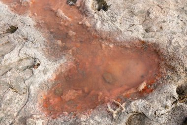 Birleşik Arap Emirlikleri, Ras al Khaimah 'da alglerden, minerallerden ve tuz yataklarından gelen kumda pembeleşmiş su.