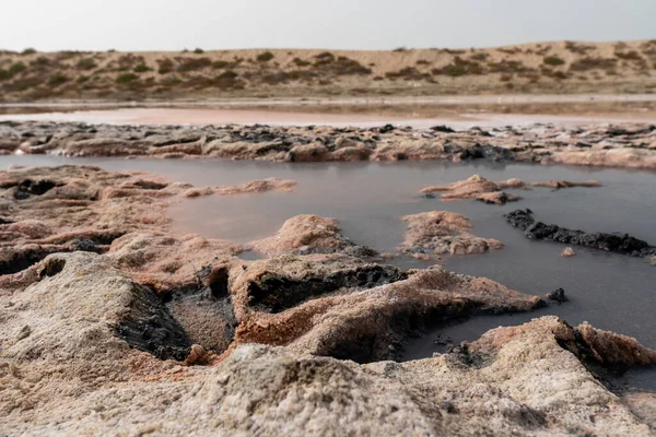 Pink lake and black dark sand ground view from algae, salt, and minerals in Ras al Khaimah, United Arab Emirates.